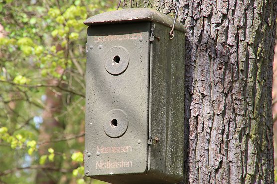 Hornissen-Nistkasten (Foto: Peter Blei)
