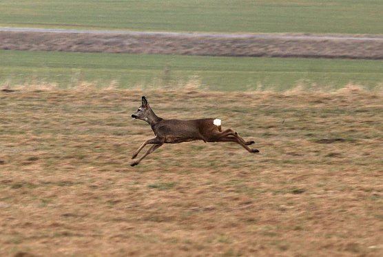 Wetter-Bild (Foto: Gernot Thelemann)