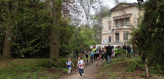 1. Heinrich-Siesmayer-Ged&auml;chtnislauf im Park Hohenrode  (Foto: Angelo Glashagel)