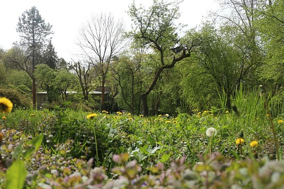 Wetterbild (Foto: Angelo Glashagel) Wetterbild (Foto: Angelo Glashagel)