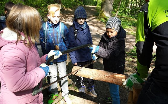 Waldjugendspiele in Ilfeld (Foto: Forstamt Bleicherode-S&uuml;dharz)