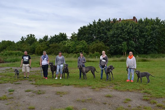 Sch&ouml;nheitsschau f&uuml;r Vierbeiner (Foto: Anika Koe)
