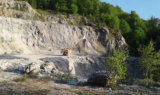 Beobachtet (Foto: B. Schwarzberg)