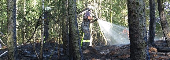 Brand im Alten Stolberg (Foto: nnz)