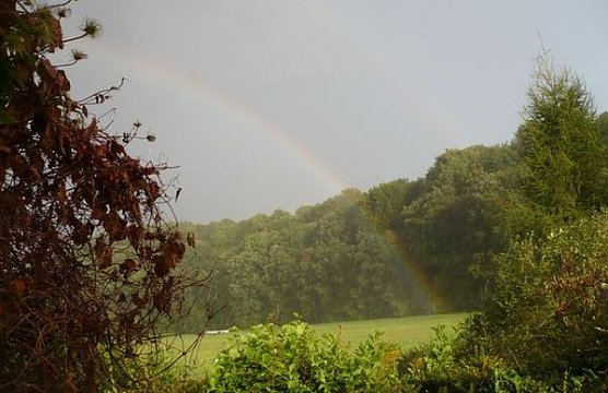 Regenbogen (Foto: privat)