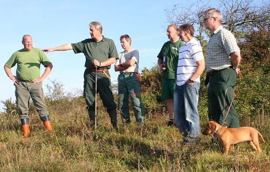 Schilfpflege (Foto: Piper/pln)