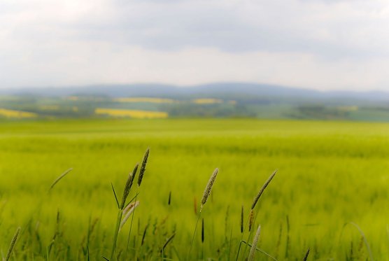 Wetterbild (Foto: Angelo Glashagel)