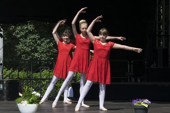 Die Tanzschule Taimba beim Rolandsfest 2017 (Foto: Sybille Bergel) Die Tanzschule Taimba beim Rolandsfest 2017 (Foto: Sybille Bergel)