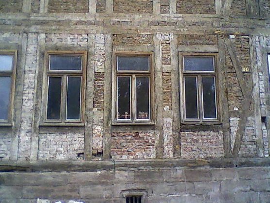 Barbie-Puppen im Fenster (Foto: D. Reinhardt) Barbie-Puppen im Fenster (Foto: D. Reinhardt)