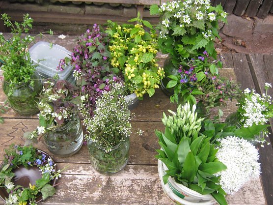 Am Samstag geht es bei Neustadt raus in die Natur (Foto: Naturpark Kyffhäuser/Südharz) Am Samstag geht es bei Neustadt raus in die Natur (Foto: Naturpark Kyffhäuser/Südharz)