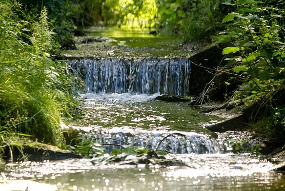 Wetterbild (Foto: Gernot Thelemann)