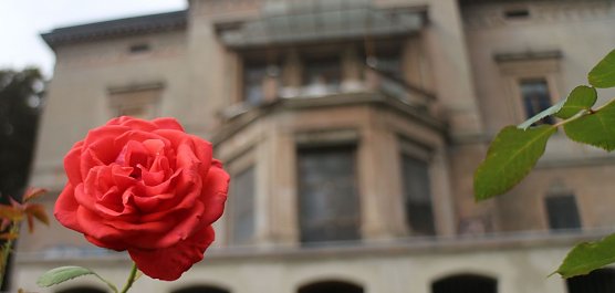 3. Diner en blanc im Park Hohenrode (Foto: Angelo Glashagel) 3. Diner en blanc im Park Hohenrode (Foto: Angelo Glashagel)