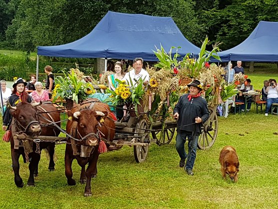 Park- und Seerosenfest in Werna (Foto: Manfred Selle)