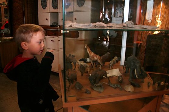 Neugierige Besucher (Foto: Piper/pln) Neugierige Besucher (Foto: Piper/pln)