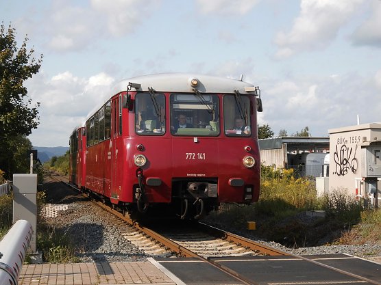 Ferkeltaxi unterwegs (Foto: Bernd Thielbeer)