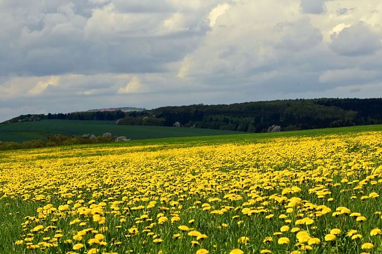 Wetterbild (Foto: Gernot Thelemann)