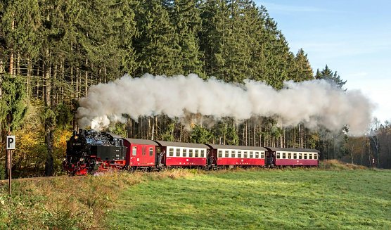 Ab dem 2. September rollen wieder ausschlie&szlig;lich Z&uuml;ge durch das Selketal. (Foto: HSB/ Dirk Bahnsen)
