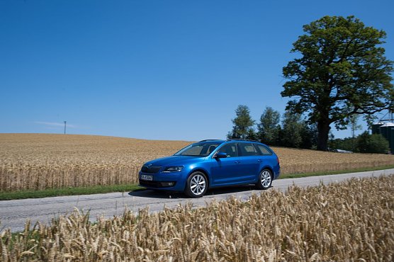 Die saubere Alternative (Foto: ADAC e.V./ Armin Hangen)