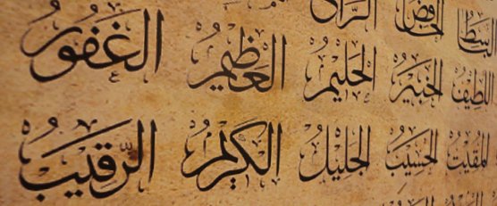 Ahmadiyya Gemeinde in Nordhausen zu Gast (Foto: Angelo Glashagel)