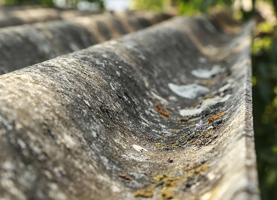 Welldach aus Asbest (Foto: IG Bau) Welldach aus Asbest (Foto: IG Bau)