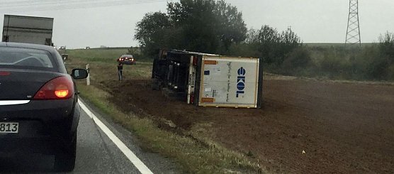 Brummi im Stra&szlig;engraben (Foto: privat)