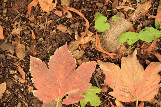 Wetterbild (Foto: Angelo Glashagel)