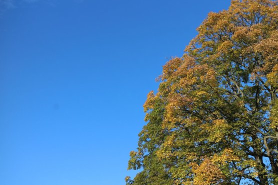 Wetterbild (Foto: Angelo Glashagel)