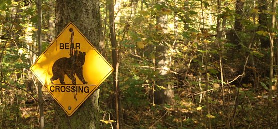 Goldener Herbst im B&auml;renpark Worbis (Foto: Angelo Glashagel)