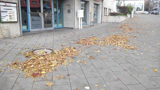 Noch nicht vom Winde verweht (Foto: Kurt Frank)