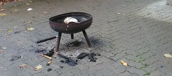 Riesige Schweinerei in Harztor (Foto: privat)