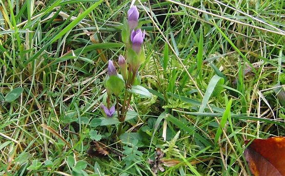 Lob an Naturschutzbeh&ouml;rden in Sachsen-Anhalt (Foto: Bodo Schwarzberg)