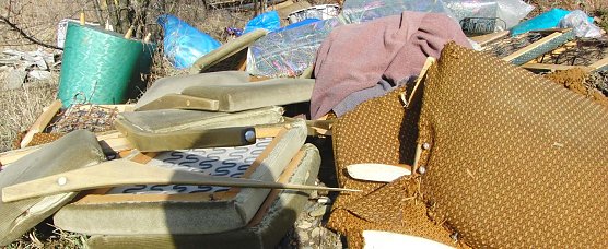 Wilde M&uuml;llkippe (Foto: Bodo Schwarzberg)