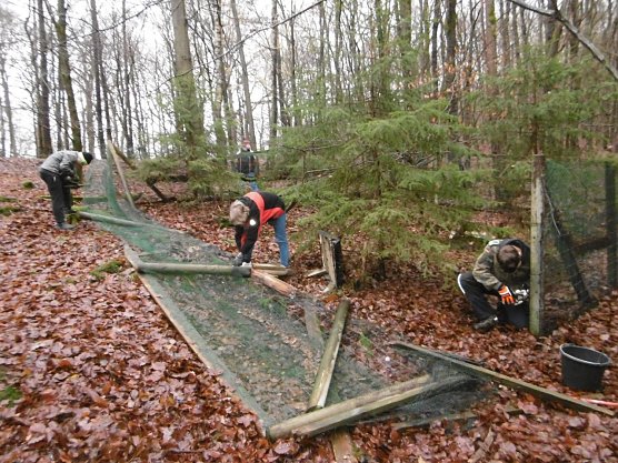 Ellricher Regelschüler im Stadtwald (Foto: Oberschule Ellrich - Staatliche Regelschule) Ellricher Regelschüler im Stadtwald (Foto: Oberschule Ellrich - Staatliche Regelschule)