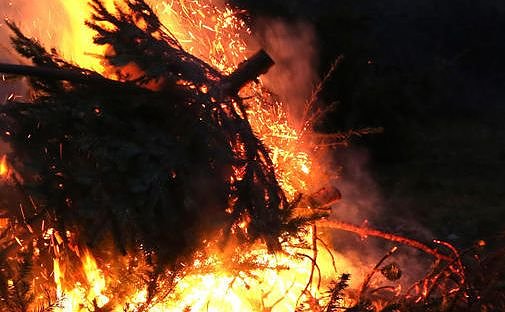 Knutfest in Niedersachswerfen (Foto: privat)