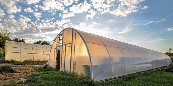 &Ouml;kologischer Gartenbau am Rande Salzas: der Horizont Verein macht jetzt auch Marmelade (Foto: Angelo Glashagel)
