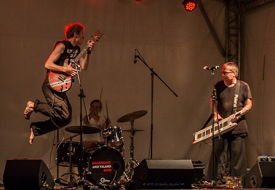 27. Bluesfasching (Foto: Kunsthof Friedrichsrode)