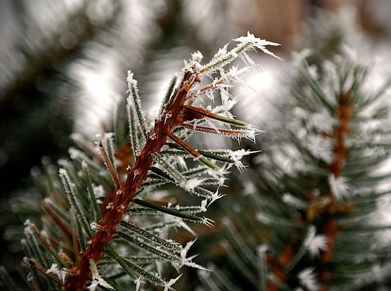 Wetterbild (Foto: Gernot Thelemann)