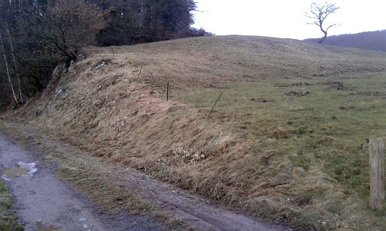 Standort bei Ellrich (Foto: Bodo Schwarzberg)
