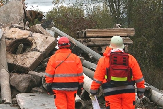 Spike im Einsatz (Foto: privat)