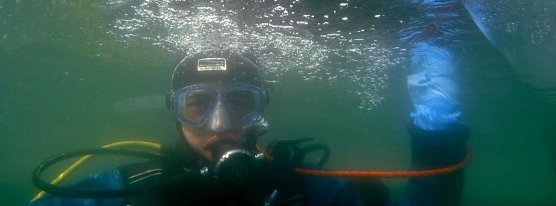 Abgetaucht (Foto: privat)