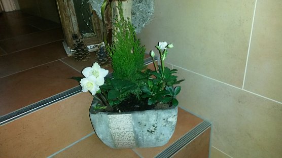 Geklaut (Foto: privat)