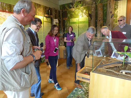 In der Natura 2000-Ausstellung Buchen musst du suchen �! im Schloss Stolberg (Foto: Reuter/RVH)