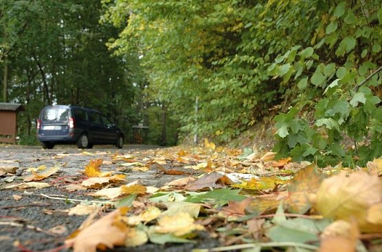 Vorsicht, Laub (Foto: TÜV) Vorsicht, Laub (Foto: TÜV)