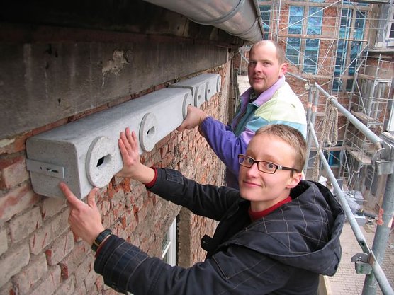 Gekümmert (Foto: psv) Gekümmert (Foto: psv)