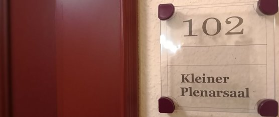 Kleiner Plenarsaal (Foto: nnz)