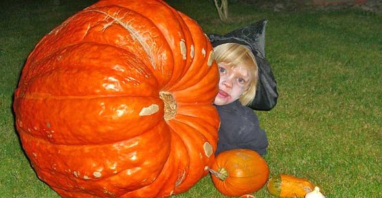 Halloween (Foto: badehaus) Halloween (Foto: badehaus)