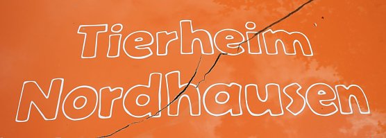 Tierheim hofft auf Unterst&uuml;tzung (Foto: Angelo Glashagel)