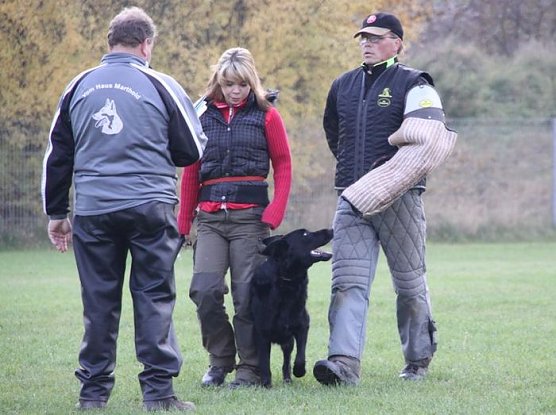 Gebellt und geprüft (Foto: H. Kühn) Gebellt und geprüft (Foto: H. Kühn)