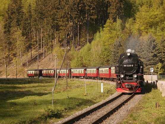 99 7239-9 bei der Einfahrt mit dem Nordh&auml;user Brockendampfzug 8929 in Netzkater am 29.04.2018.   (Foto: Bernd Thielbeer)