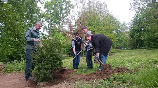 Neue Fichte f&uuml;r den Park: Michael Wei&szlig;leder mit Johannes, Florian und Fabian (Foto: Angelo Glashagel)
